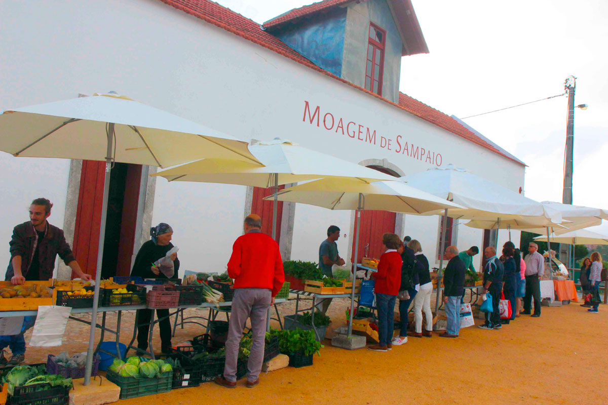 Moagem de Sampaio